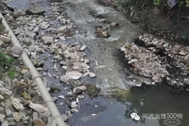 塞纳河污染严重