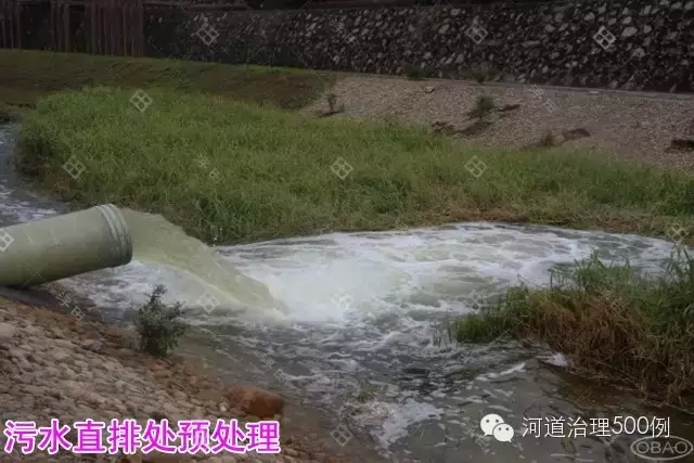 污水直排处