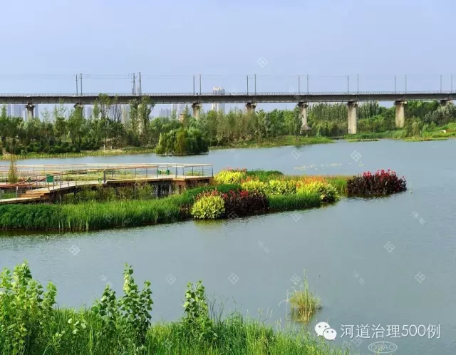 渭河陕西段生态治理