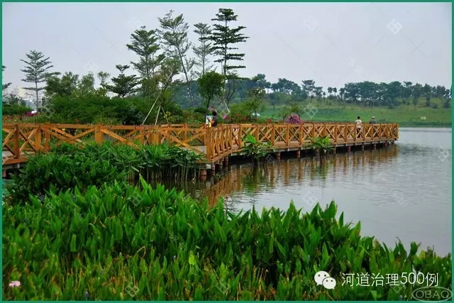 广州白云湖生态治理工程