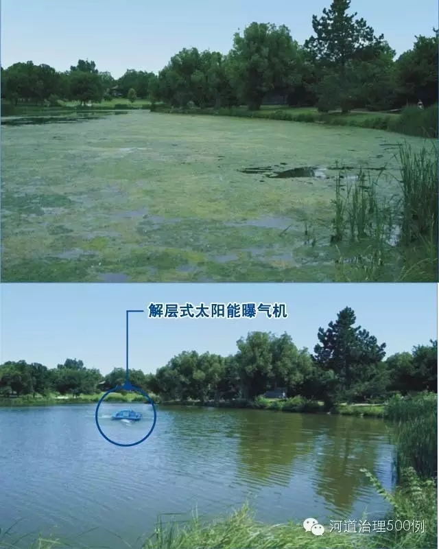 微生物菌剂结合解层太阳能曝气机 微生物菌剂结合解层太阳能曝气机