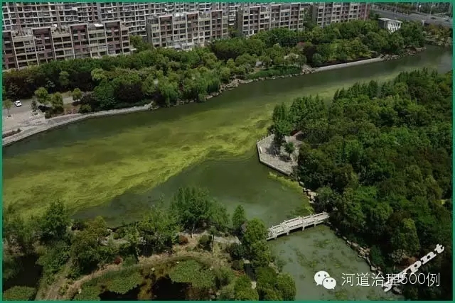 最近，随着气温逐渐升高，各地蓝藻现象频繁