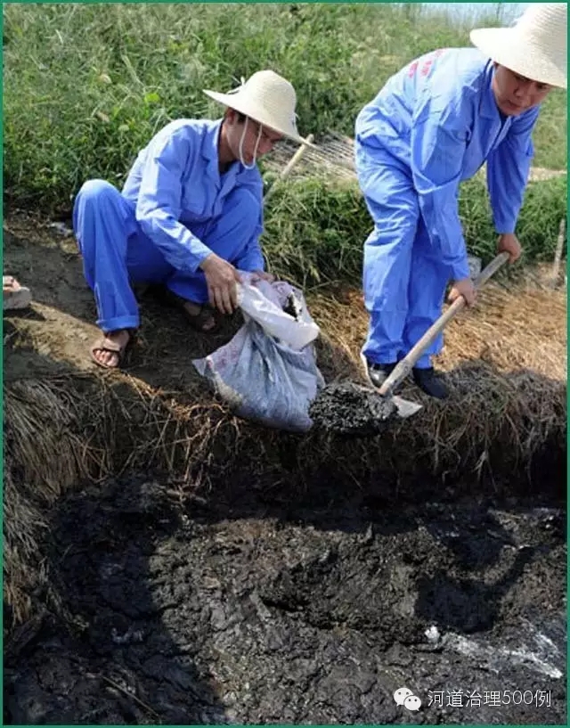 蓝藻变身“有机肥” 蓝藻变身“有机肥”