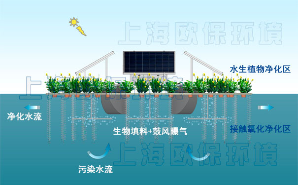 一体式太阳能曝气浮岛净水原理