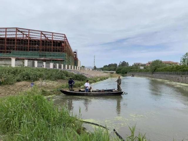 1河道保洁工人正在对河面“绿毯子”一样的浮萍进行打捞和清理