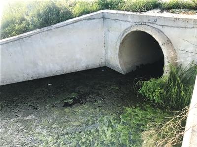 位于随州欢乐世界府河对岸的一处生活污水直排管道，生活污水在这里未经处理就直接流入府河