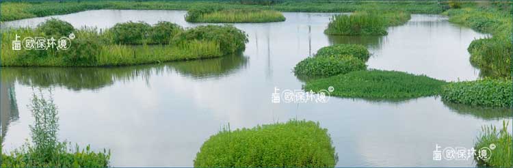 浮田型漂浮湿地做成各种造型安装在湖泊中提升湖泊景观
