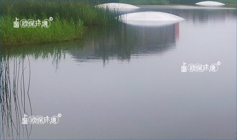 竖向紊流曝气机应用于生态塘、景观滞留塘