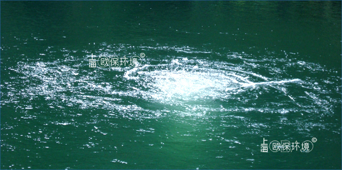欧堡-II“欧堡水下森林卫士”的曝气、循环、生物过滤功能，可以使因降雨或排污导致的水体浑浊，3日内澄清，不需要添加任何药剂。