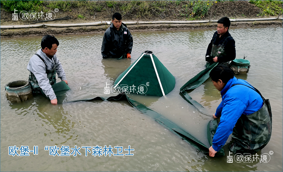 欧堡-II“欧堡水下森林卫士”，适合坑塘净化，提高水体透明度,另外具有良好的脱氮除磷效果，对于采用“水下森林”的净水方式，是一道很好的安全防护线。