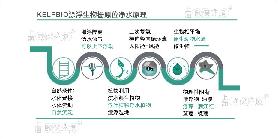 KELPBIO漂浮生物栅净水原理