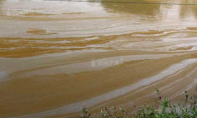  裸藻水华后期导致水体溶氧低、致病菌大量繁殖破坏水体生态系统