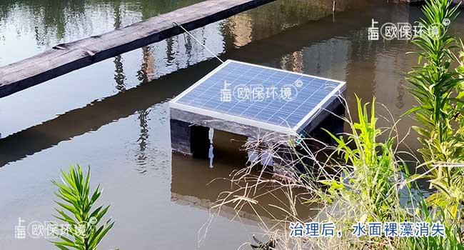采用OBAO-ES70D裸藻清理机治理后,水面裸藻消失,水体生态平衡逐渐恢复 采用OBAO-ES70D裸藻清理机治理后,水面裸藻消失,水体生态平衡逐渐恢复