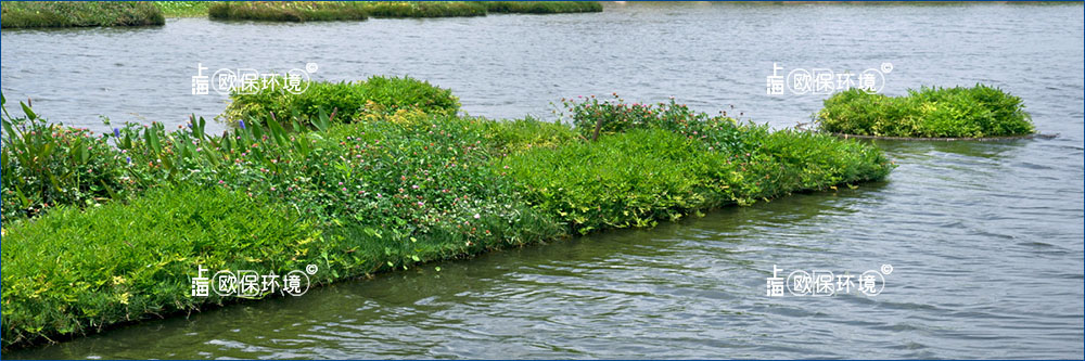 浮式处理湿地（FTWS）是由浮岛单元组成，其上有含有挺水植物的和漂浮载体。浮岛（传统的植被湿地）是一种自然现象，中国和越南、缅甸以及印度等地区的农民都有着几个世纪的水上农耕的历史。岛上农作物种植、水下渔业生产，一直处于一个长期稳定的平衡状态。
