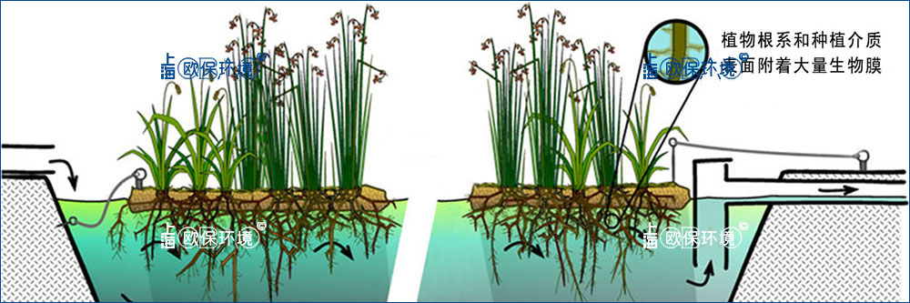 复合纤维浮动湿地植物根系提供很大大表面积作为微生物活动的栖息地，并且有利于老化生物膜的剥离更新。高效的有机物分解、硝化和反硝化（去除BOD和N）。