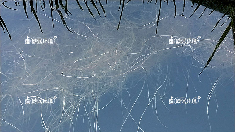 复合纤维浮动湿地的植物根系发达，有利于构成稳定的水下生境