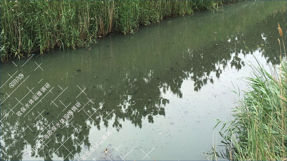 河道黑臭水体治理中存在的黑泥上浮的浮泥问题