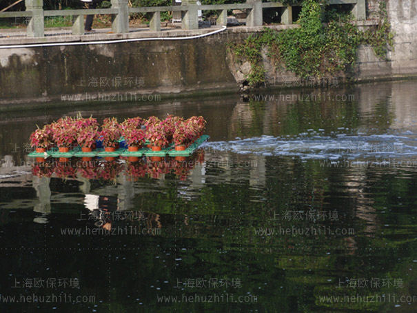 造流式活化能曝气机