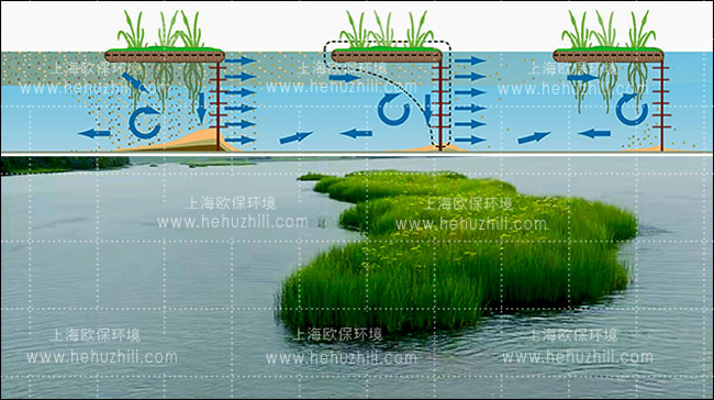 KELPBIO拦沙幕帘