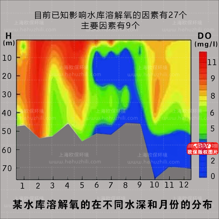 水库溶解氧