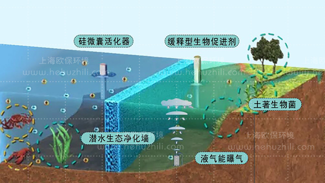 柔性立体生态护岸、潜水生态净化墙