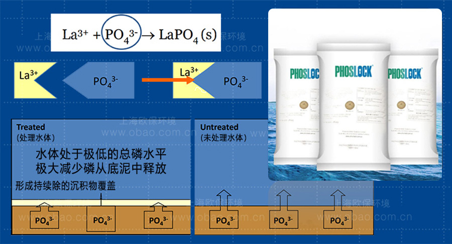 锁磷剂净水机理