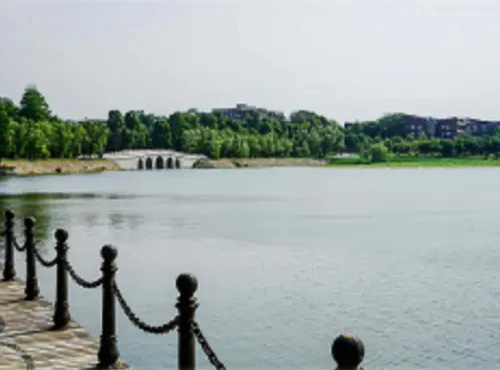 水质提升-武汉东湖天鹅湖景区