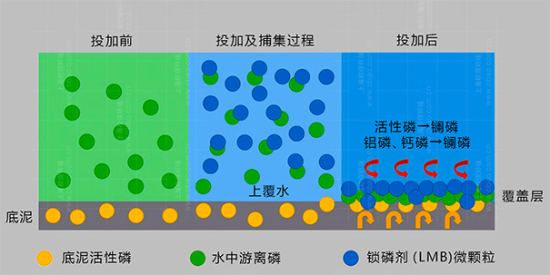 除磷剂的主要成分