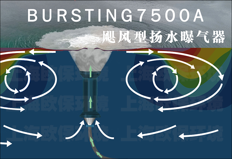 飓风型扬水曝气器主要应用于湖泊水库水源地，以抑制藻类生长，控制底泥污染物释放。