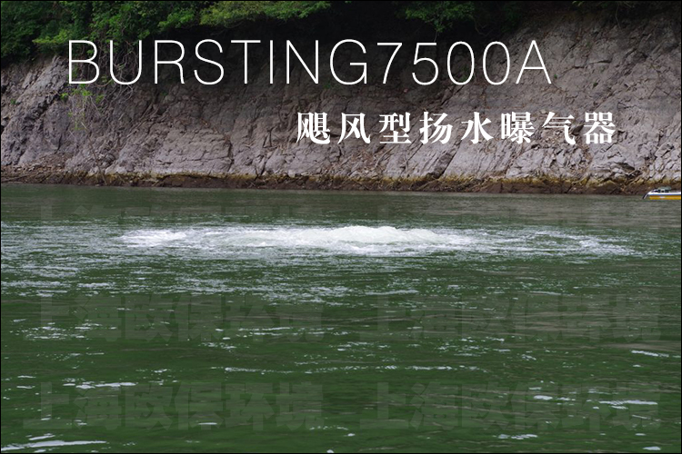 水库用扬水曝气器及蓝藻水华消除
