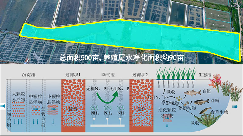 “三池两坝”尾水治理占地面积
