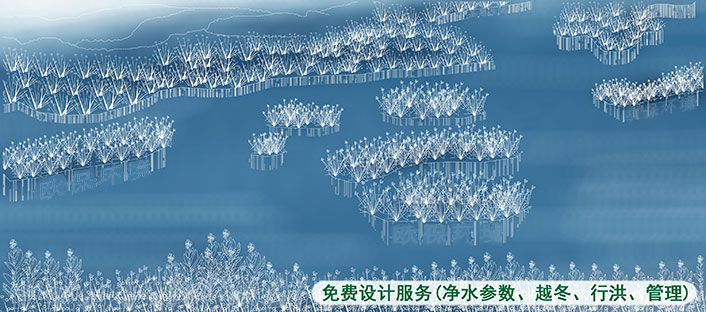 浮动湿地在氧化塘中的应用