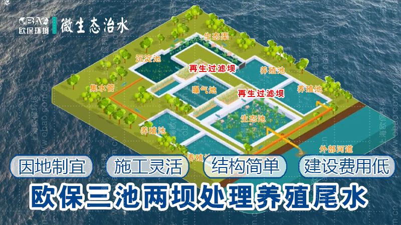 改进型三池两坝技术：养殖尾水治理新突破