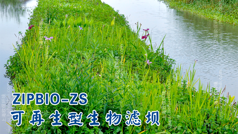 水产养殖尾水处理的三池两坝技术及其改进措施