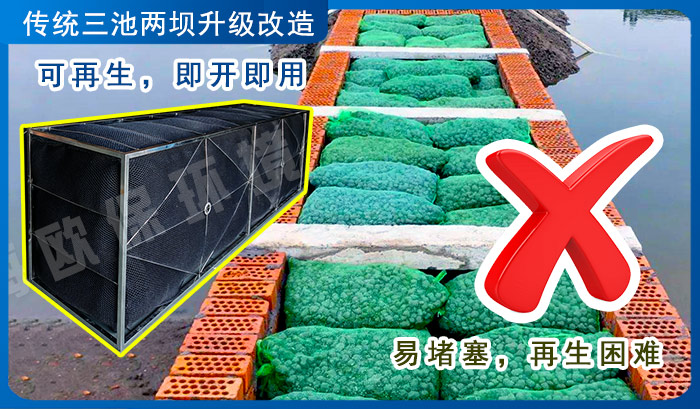 山区水产养殖的绿色转型：三池两坝工艺的升级与成效