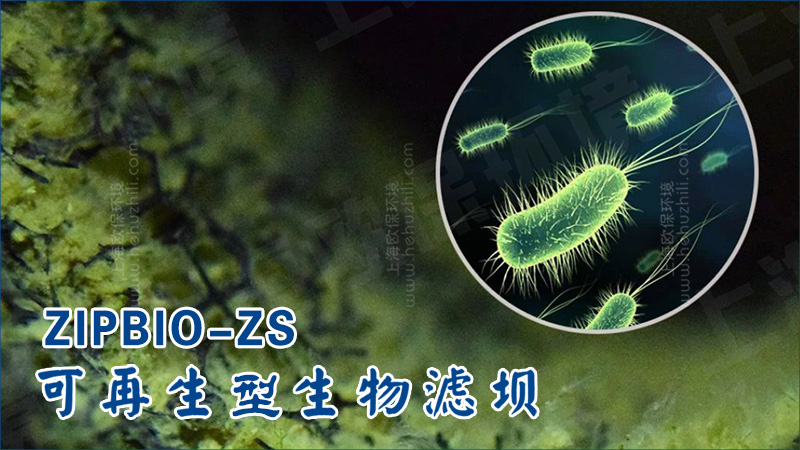 再生滤坝的核心在于将生物净化功能与装配式结构有机结合。