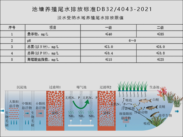 三池两坝工艺治理养殖尾水的技术要点