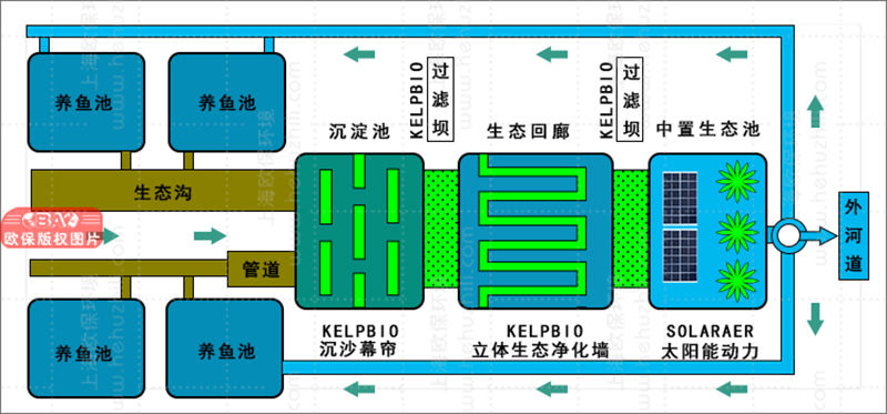 改进型三池两坝技术在养殖尾水处理中的应用与成效分析