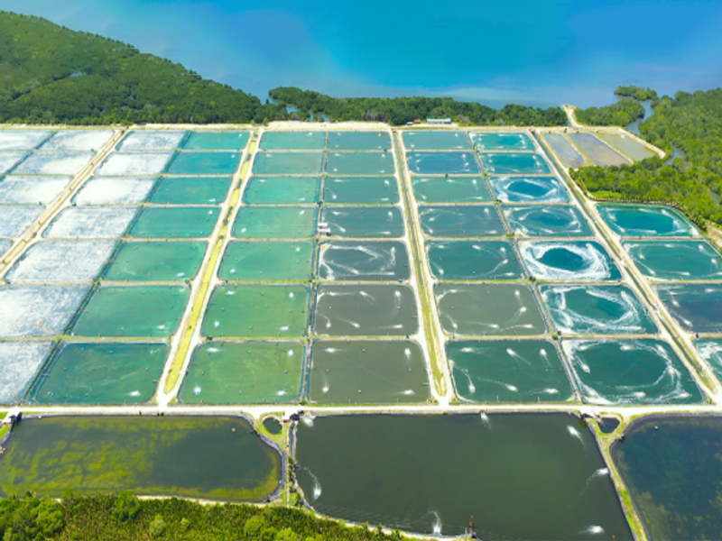 连片池塘尾水治理：“三池两坝”系统的构建与应用