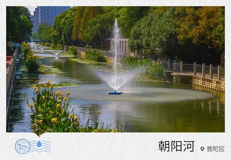 沪40条河道入围&ldquo;最美河道&rdquo;&ldquo;最佳河道整治成果&rdquo;你家门口有吗，河道安装欧保喷泉曝气机