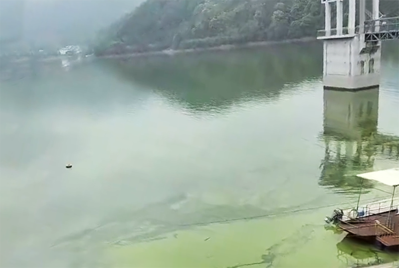NOZZLE-E7500竖向紊流控藻是靠谱的水库除藻方式