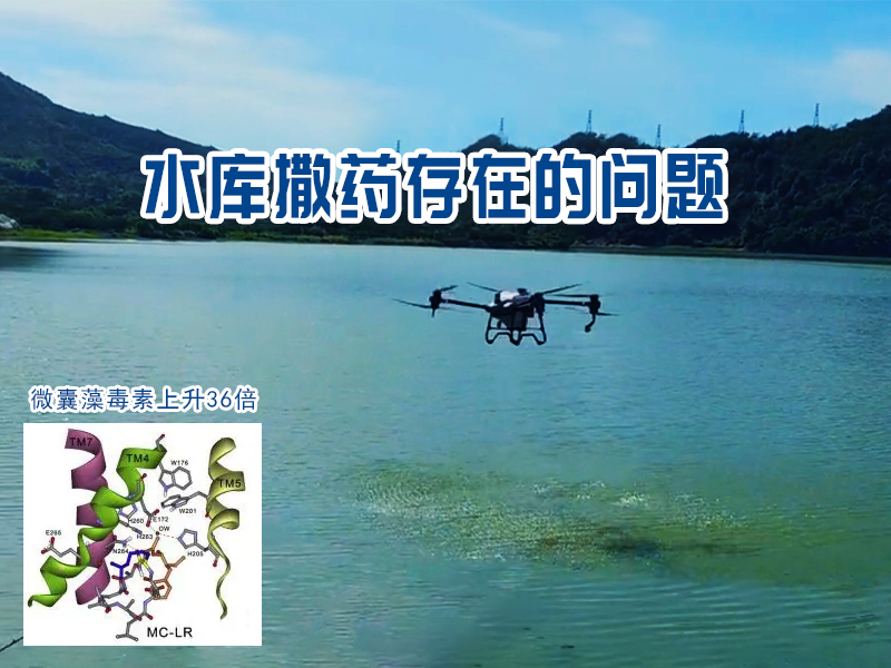 NOZZLE-E7500竖向紊流控藻是靠谱的水库除藻方式