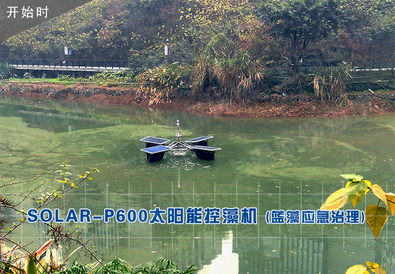 SOLAR-P600太阳能控藻机