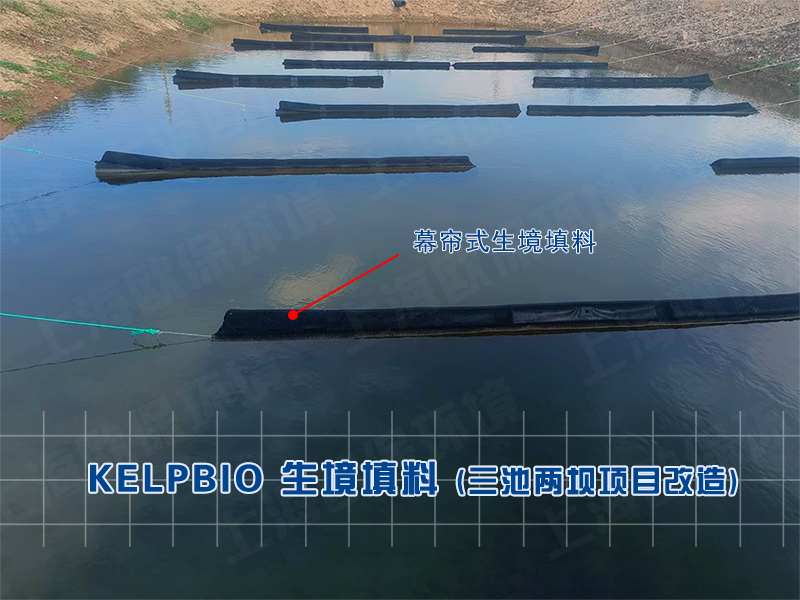 欧保环境对传统三池两坝进行二次启动改造