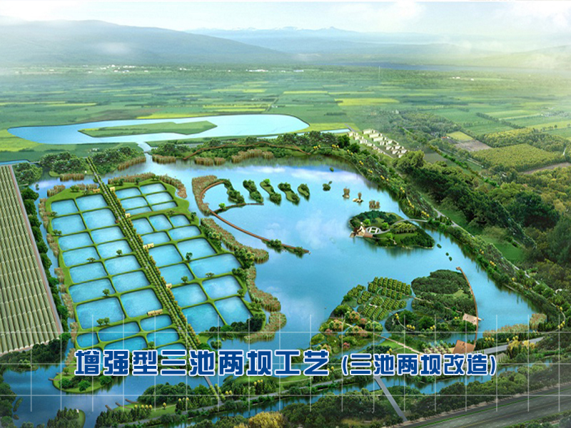 水产养殖尾水处理-增强型三池两坝改造