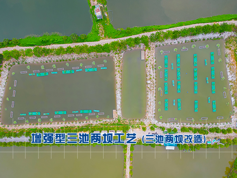 水产养殖尾水处理-增强型三池两坝改造