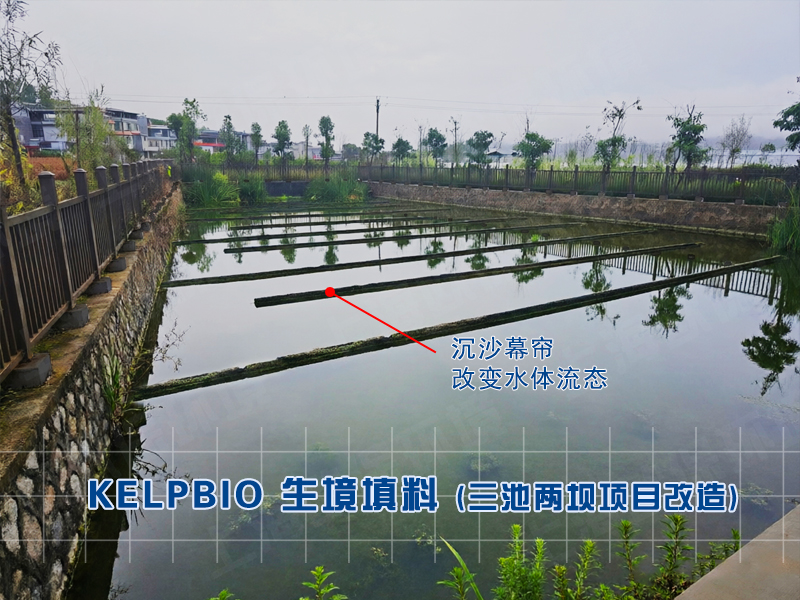 2025年三池两坝改造案例：广西防城港一水产养殖场使用生态沉沙幕帘改造沉淀池