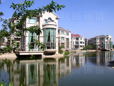 项目名称：上海世茂湖滨花园人工湖治理工程