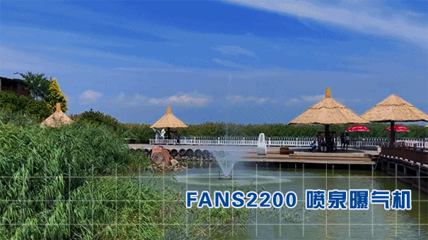 宁夏沙湖水环境治理-FANS2200浮水喷泉曝气机