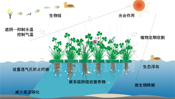 多年生抗风浪型生态浮岛